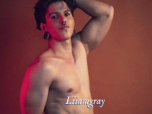 liiamgray Cam 5