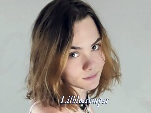 Lilblossompet