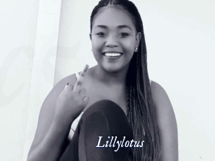 Lillylotus