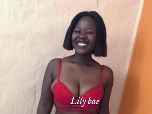 Lily_bae