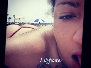 Lilyflower