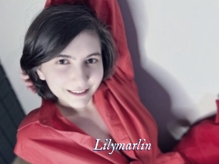lilymarlin Cam 5