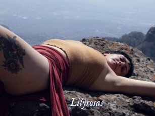 Lilyrosas