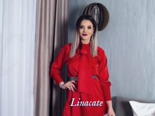 linacate Cam 5