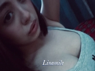 linamile Cam 5