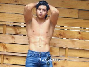 Litocastro