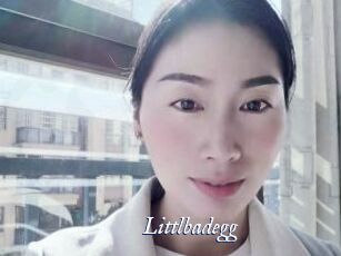 Littlbadegg