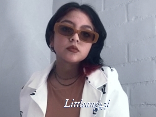 littleang43l Cam 5