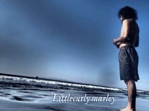 Littlecurly_marley