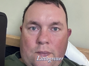 littlegrower Cam 5