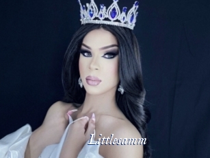 Littlesamm