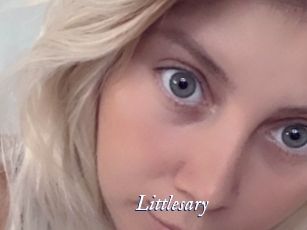 littlesary Cam 5