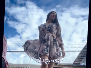 Lizziesnow