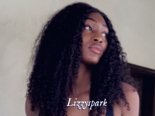 Lizzyspark