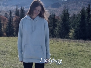 Lladybugg