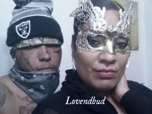lovendbud Cam 5