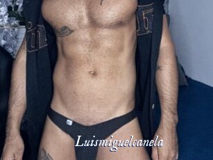 Luismiguelcanela