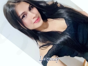 Luzneidy