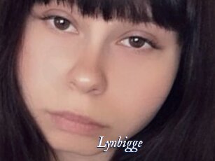 Lynbigge