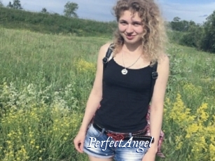 PerfectAngel