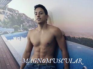 MAGNOMUSCULAR