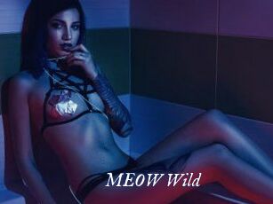 MEOW_Wild