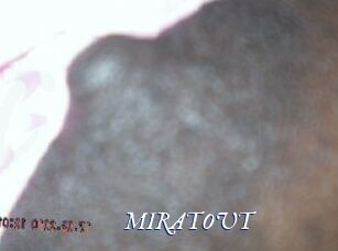 MIRATOUT