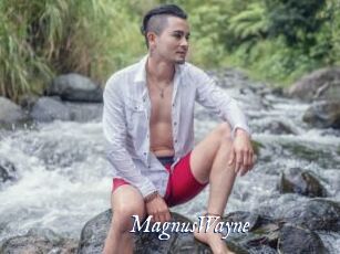 MagnusWayne
