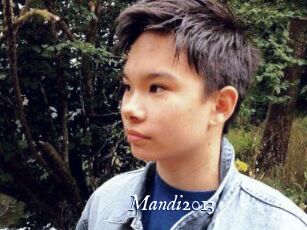 Mandi2013
