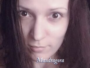 Mandragora