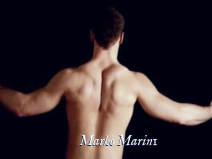 Marko_Marin1