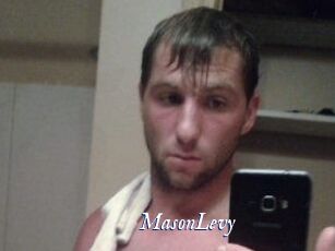 Mason_Levy