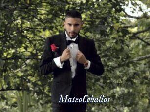 MateoCeballos