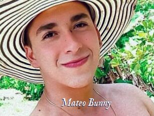 Mateo_Bunny