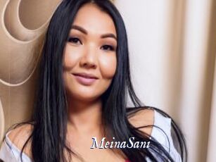 MeinaSani