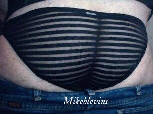 Mikeblevins