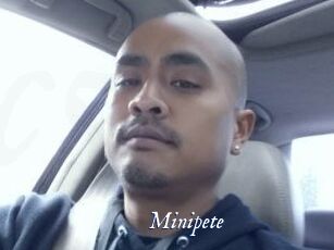 Minipete