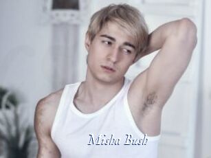 Misha_Bush
