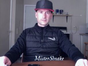 MisterShnake