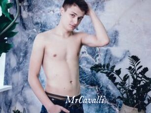 MrCavalli