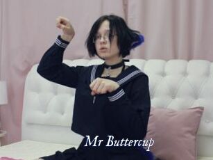 Mr_Buttercup