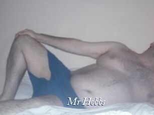 Mr_Hobbs