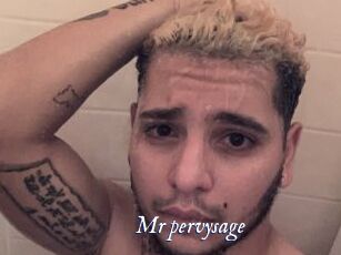 Mr_pervysage