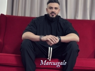 marcusgale Cam 5