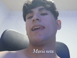 Mario_neta
