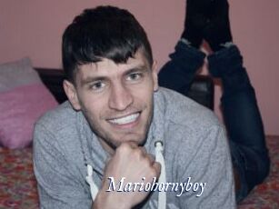 Mariohornyboy