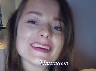Martinecam