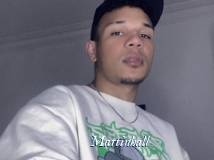 martinhall Cam 5