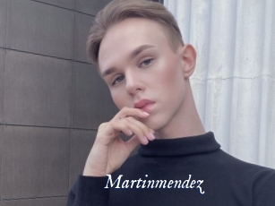 martinmendez Cam 5
