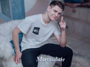 Marvinshake